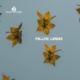 falling-leaves-1800